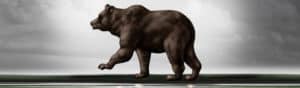Bear Market Mistakes